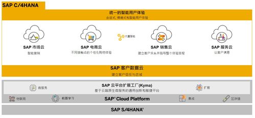 SAP商務(wù)云產(chǎn)品自學(xué)指南 電商云、銷售云與營銷云業(yè)務(wù)知識(shí)入門